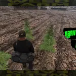 FarmWeed6