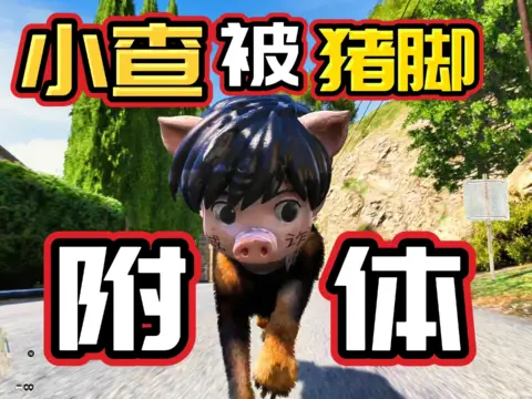GTA pig's foot scam dog V1.0