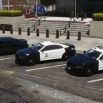 LSPD Bravado Buffalo SX Pack