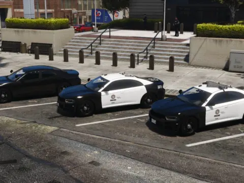 LSPD Bravado Buffalo SX Pack