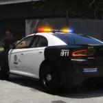 LSPD Bravado Buffalo SX Pack4