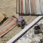 Los Santos Serial Killer6