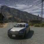 Realistic Fuel System2