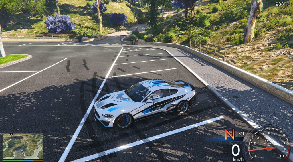 2019 Mustang GT some paint 1.0