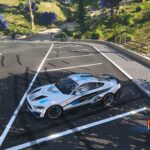 2019 Mustang GT some paint 1.0