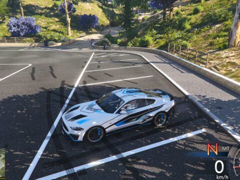 2019 Mustang GT some paint 1.0