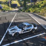 2019 Mustang GT some paint 1.03