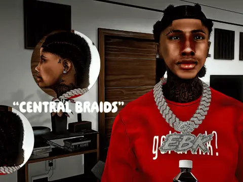 Central Braids 1.0
