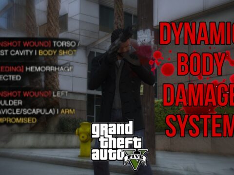Dynamic Body Damage System 0.1.1 beta