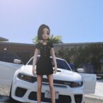GTA amusement bag character mod 2.0 1.02