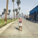 Gun Fight Response 1.02