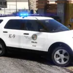 LSPD Livery Minipack 1.0.15