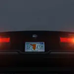 Leonida License Plate 1.02