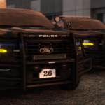 Los Santos PD4