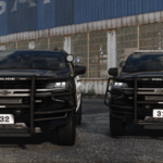 Los Santos PD6