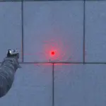 Resident Evil 4 Dynamic Laser Sight4