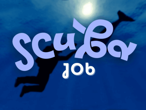 Scuba Job - Crash Fix 1.1