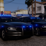 Soundoff Signal nFORCE 2018-2022 Dodge Charger Pack2