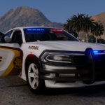 Soundoff Signal nFORCE 2018-2022 Dodge Charger Pack4