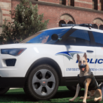 ULSA Police5