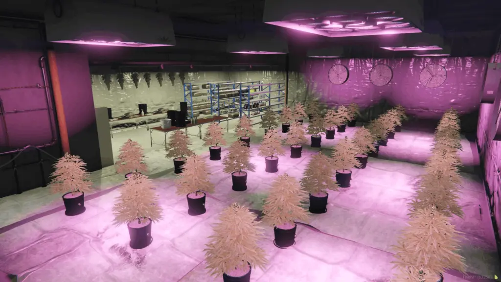 Weed Farm