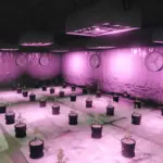 Weed Farm6