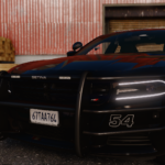 Whelen Legacy 2018 Dodge Charger3