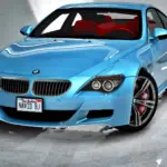 2010 BMW M6 E63
