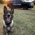 Advandced K9 Tactics 1.0
