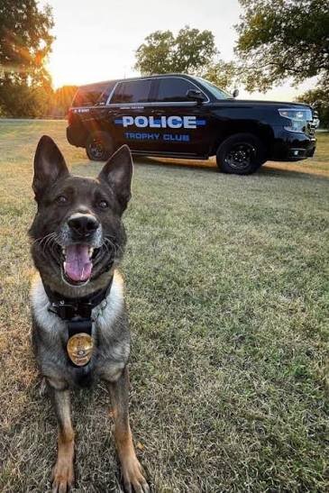 Advandced K9 Tactics 1.0