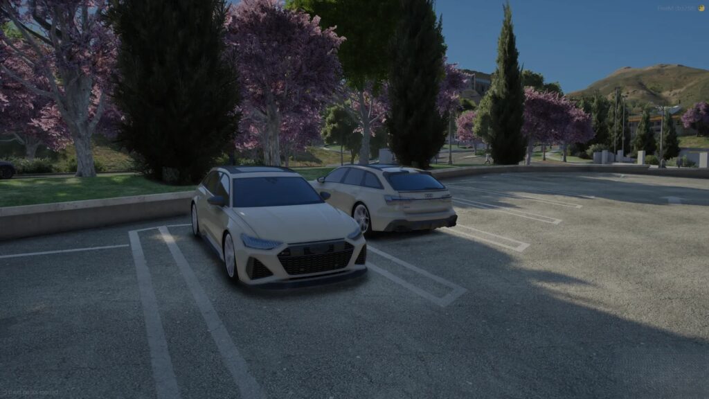 Audi RS6 STRESS