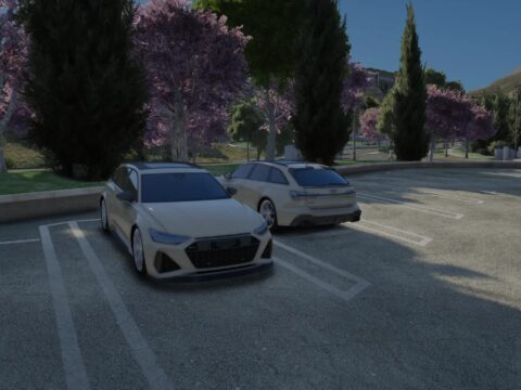 Audi RS6 STRESS