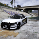 Blaine County Regional Police
