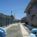 Blue Surgical Gloves for Franklin3