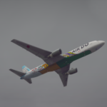 Boeing 767-3006