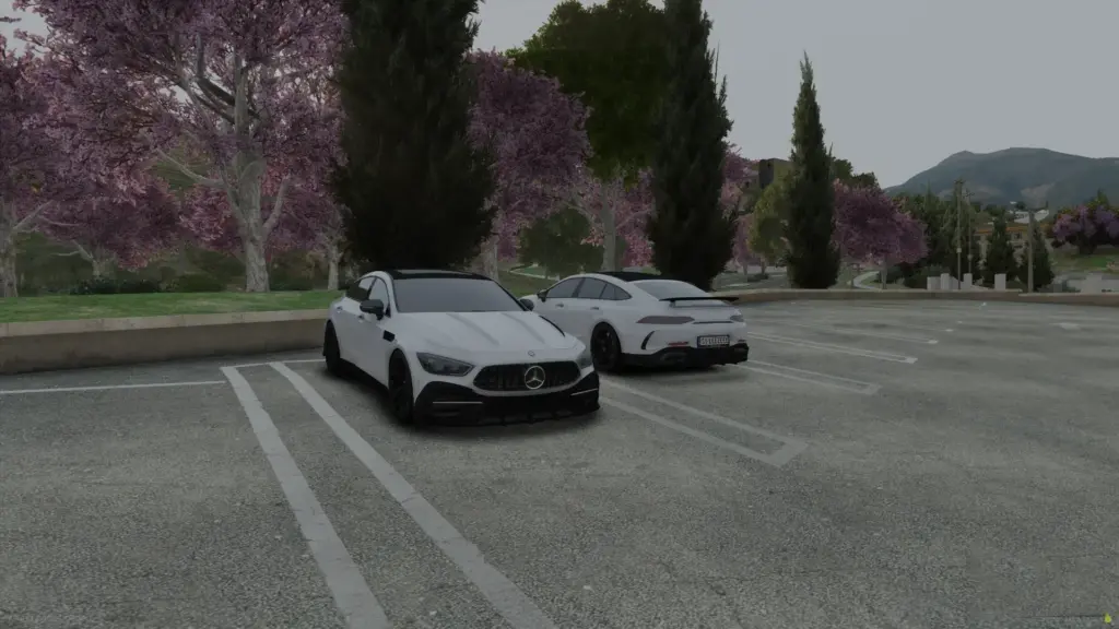 Mercedes SHARK GT63s