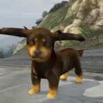 Miniature Dachshund From Nintendogs