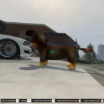 Miniature Dachshund From Nintendogs4