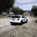 Paleto Bay County Sheriff 2020 FPIU3