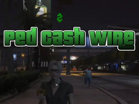 Ped Cash Wire 1.0