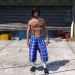 Plaid Shorts 1.02