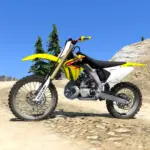 Suzuki RM 250