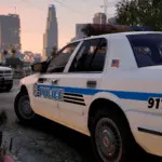 Brown Streak Law Enforcement Texture Pack2