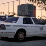 Brown Streak Law Enforcement Texture Pack4