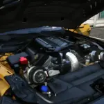 Custom 2024 Ford Shelby Super Snake3