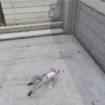 Lay anywhere V1.0