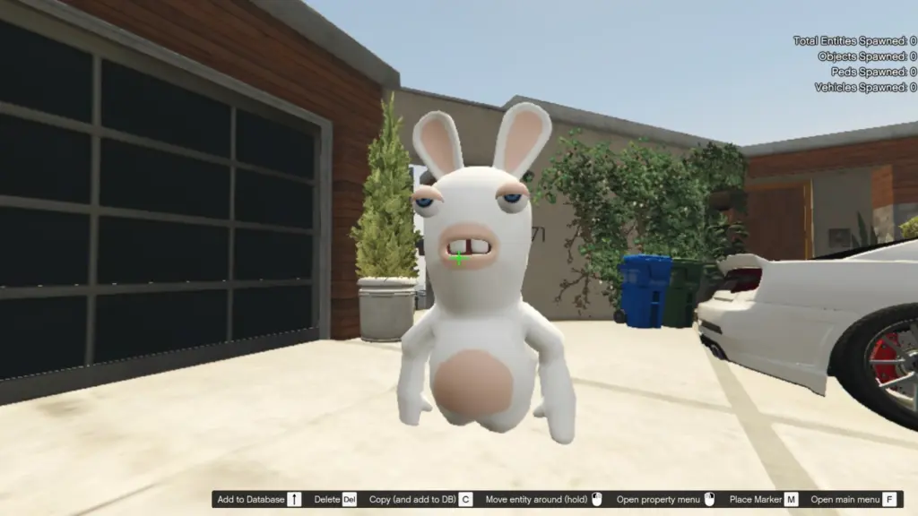 Rabbid