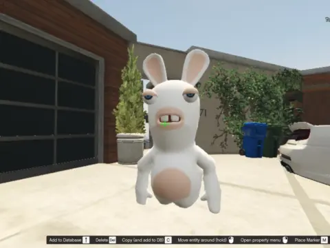 Rabbid