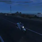 Realistic Police Response