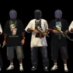 The Street Gangs 20266